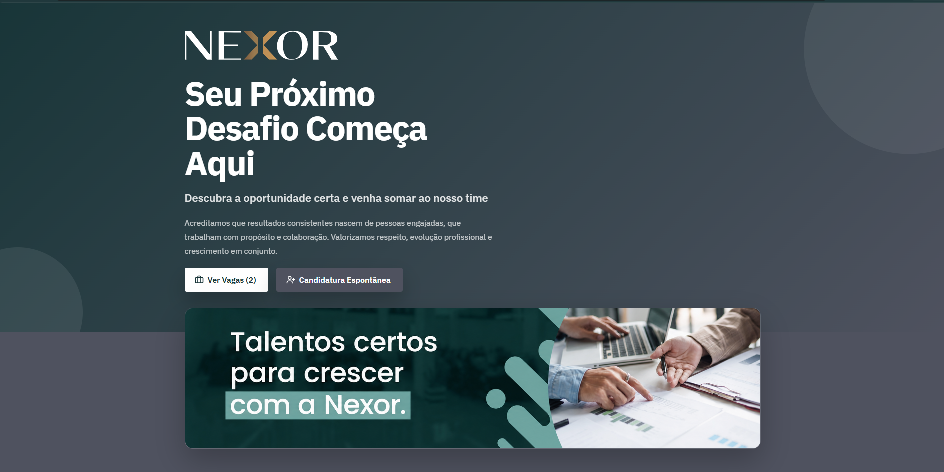 Portal de vagas personalizado — hero com identidade da empresa